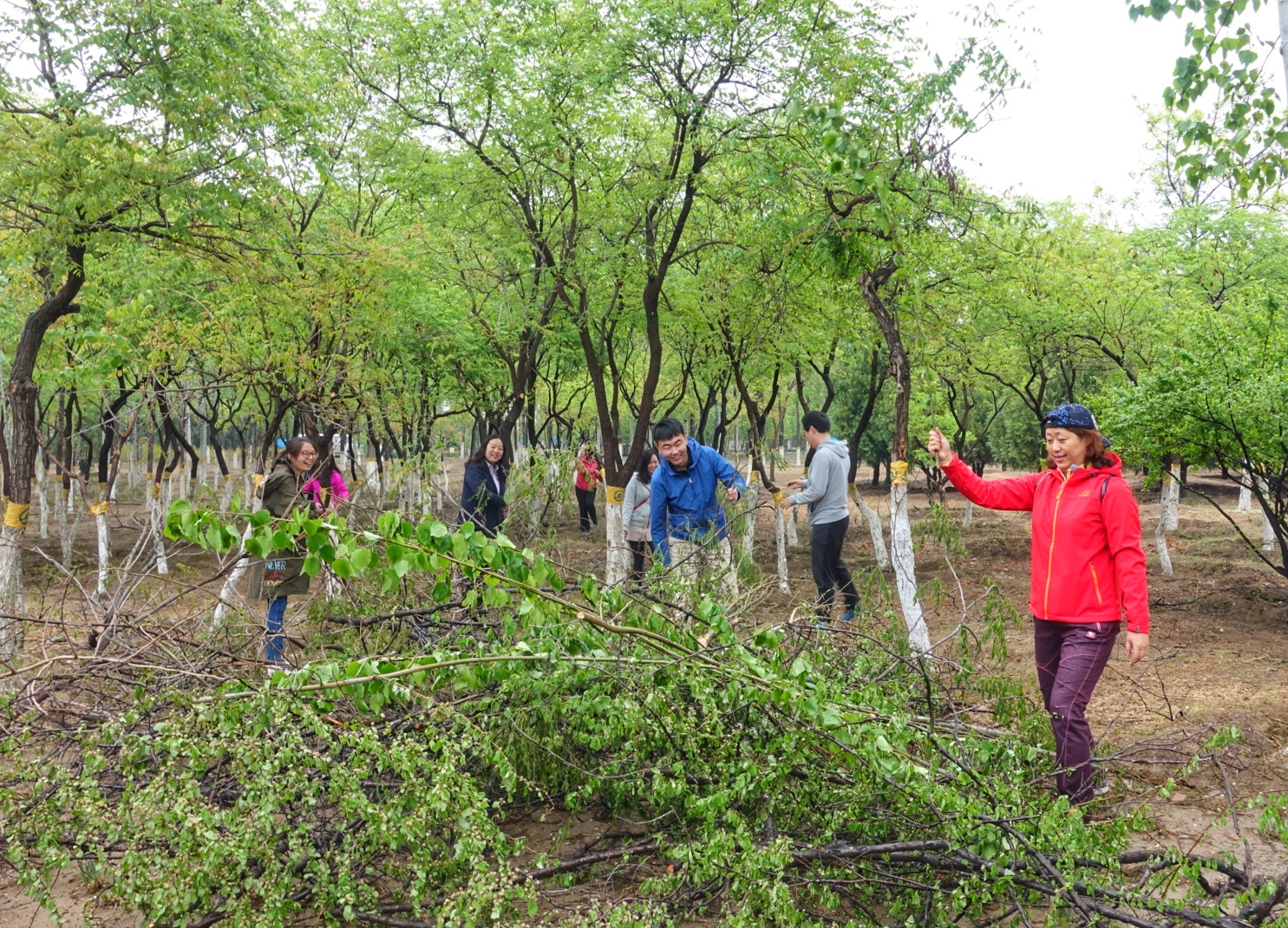 立博 - Ladbrokes(中国区)官方网站