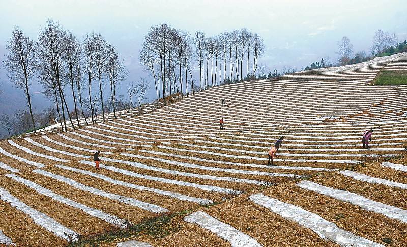 立博 - Ladbrokes(中国区)官方网站